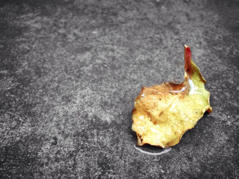 Photo "Guide to Changing Your Perception of Failures"