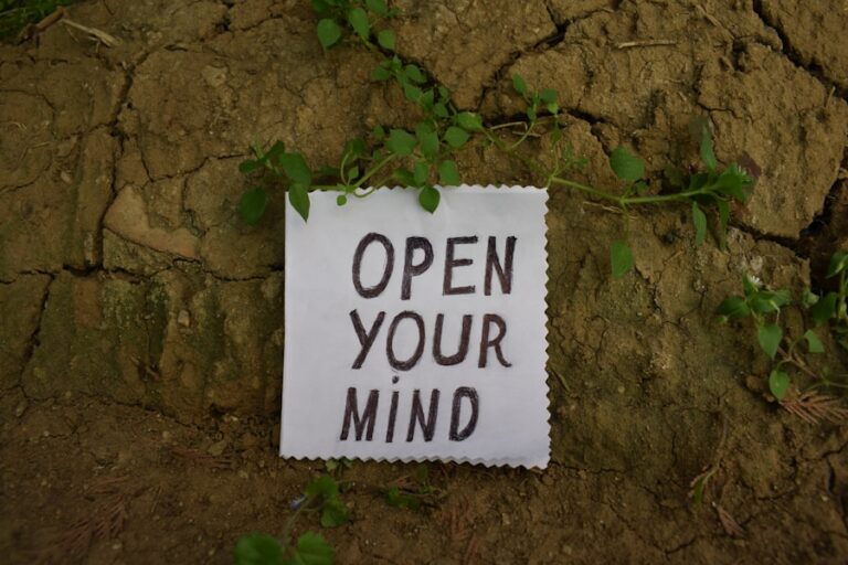 Photo "Guide to creating an environment conducive to your mental health"