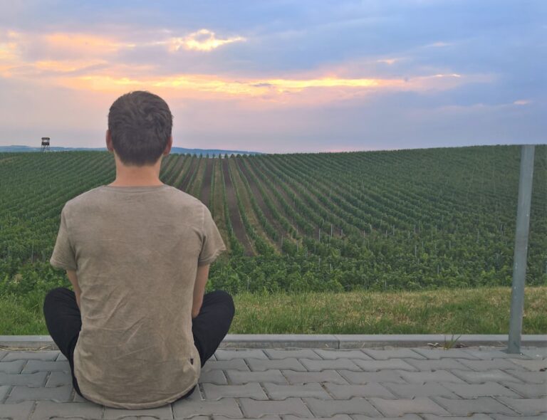 Photo "How to practice mindfulness and focus on the present moment"