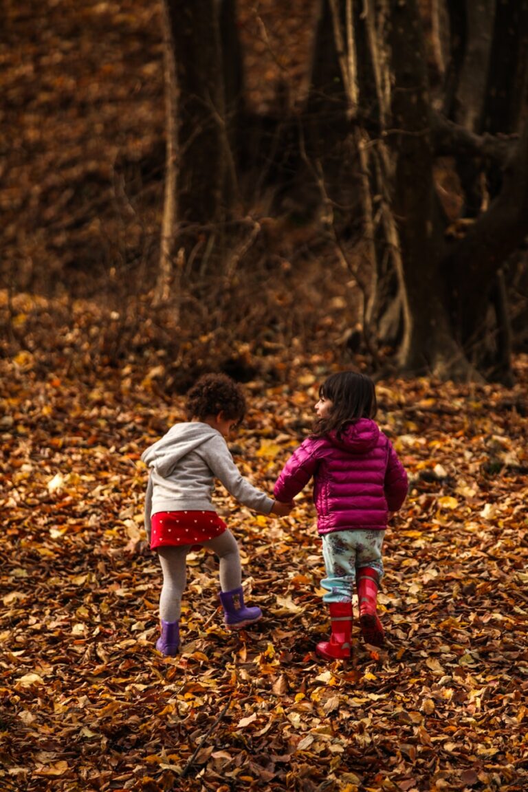 Photo "Guide to teach the child to share with others"