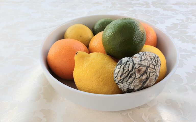 Photo "10 essential foods for a balanced diet"