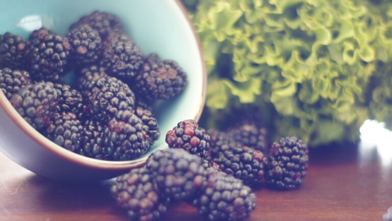 Photo "10 foods that can help strengthen your immune system"