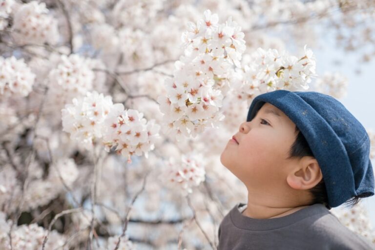 Photo Complete guide for preventing and managing spring allergies