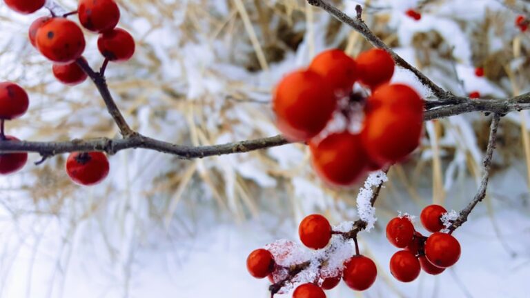 Photo "7 foods that protect your immune system during winter"