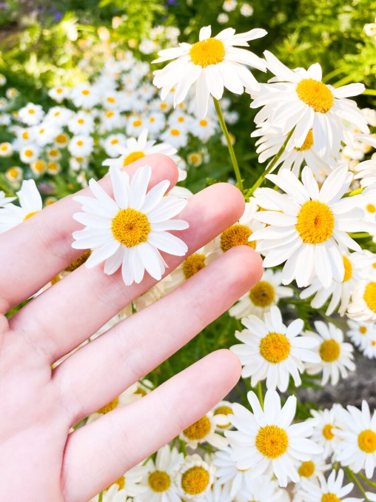 Photo "7 tricks to manage spring allergies without medication"