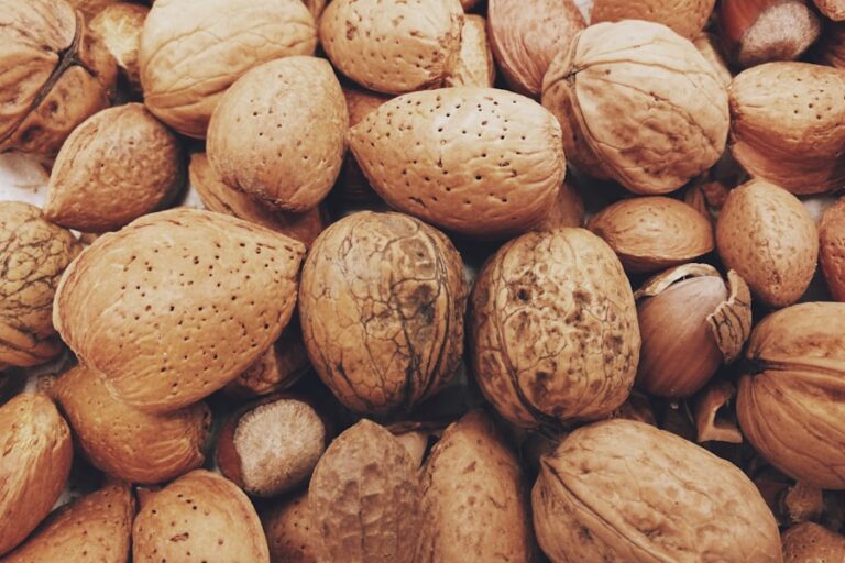 Photo "Guide to navigating social life when you have food allergies"