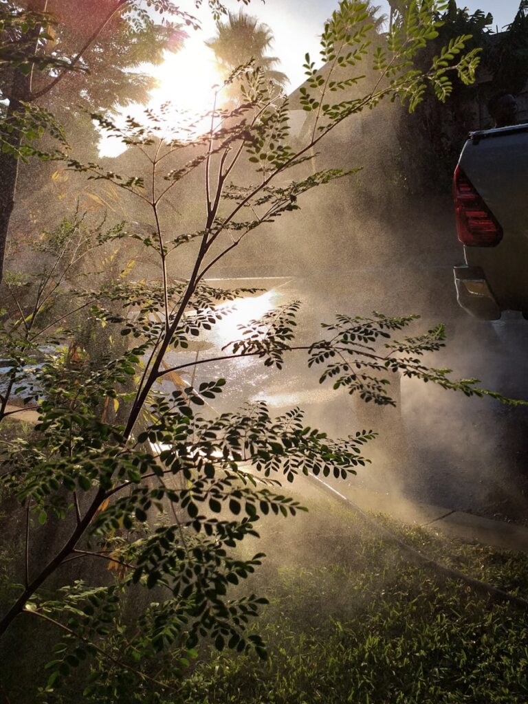 Photo "5 steps to reduce allergies caused by pollen and dust"