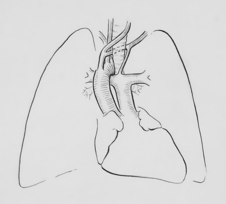 Photo Heart diagram