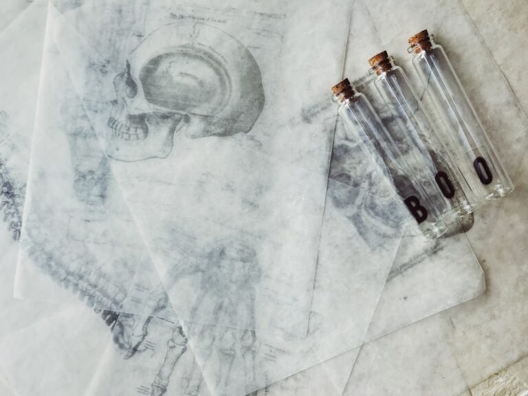 Photo Medical diagram