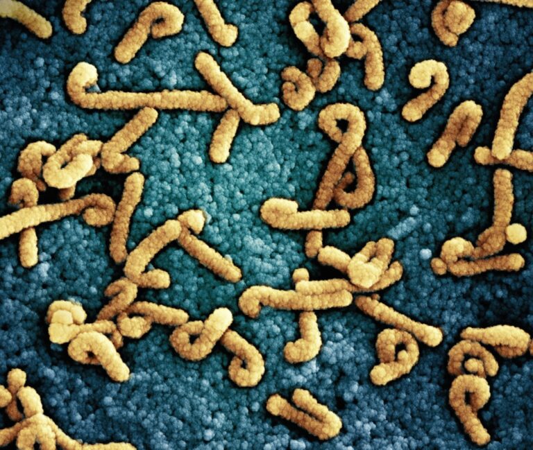 Photo Gut bacteria