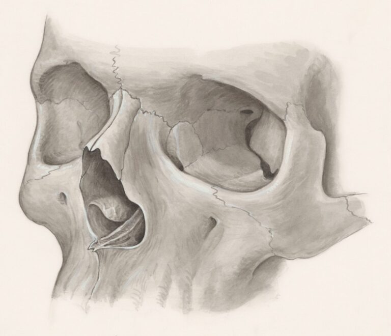 Photo Dureri Articulare