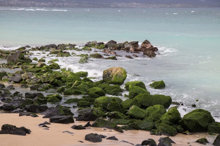 Photo walking benefits