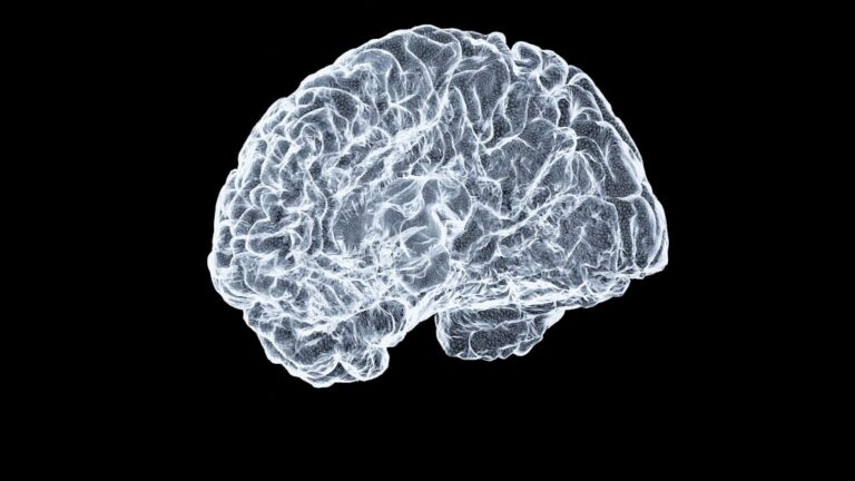 Photo neuroplasticity