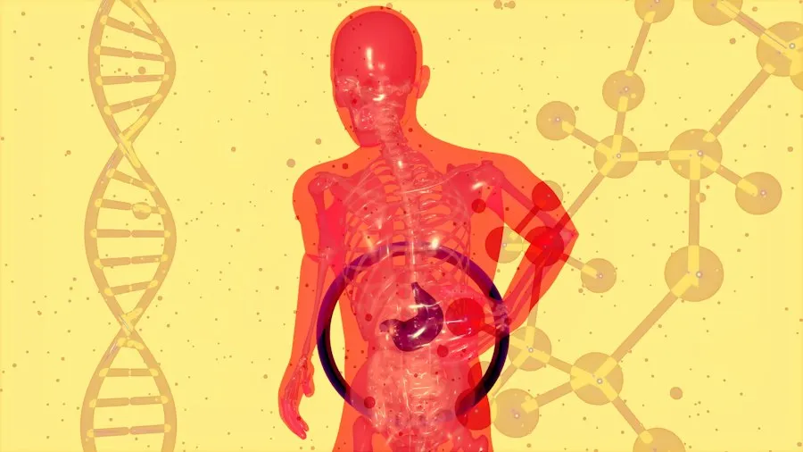 Photo immune system overview