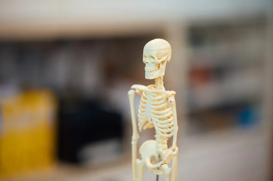 Photo bone health tips